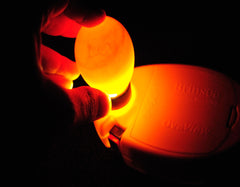 Everything you need to know about Egg Candling