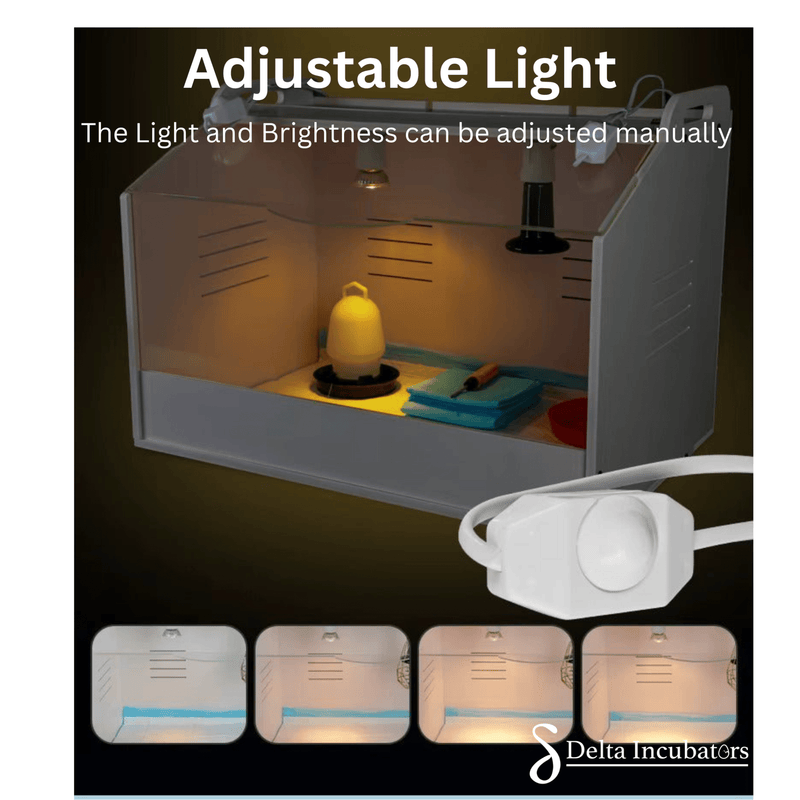 Delta Incubators Brooder – Medium - Delta Incubators