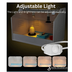 Delta Incubators Brooder – Medium - Delta Incubators