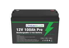 12V 100Ah LiFePO₄ Battery + 14.6V 20A Charger Combo - Delta Incubators