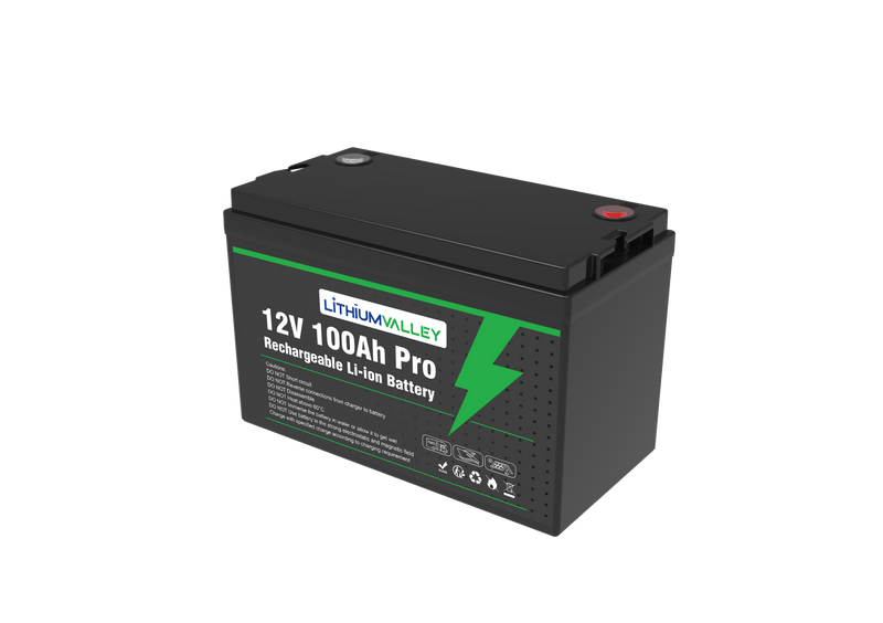 12V 100Ah LiFePO₄ Battery + 14.6V 20A Charger Combo - Delta Incubators