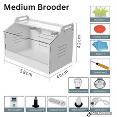 Delta Incubators Brooder – Medium - Delta Incubators