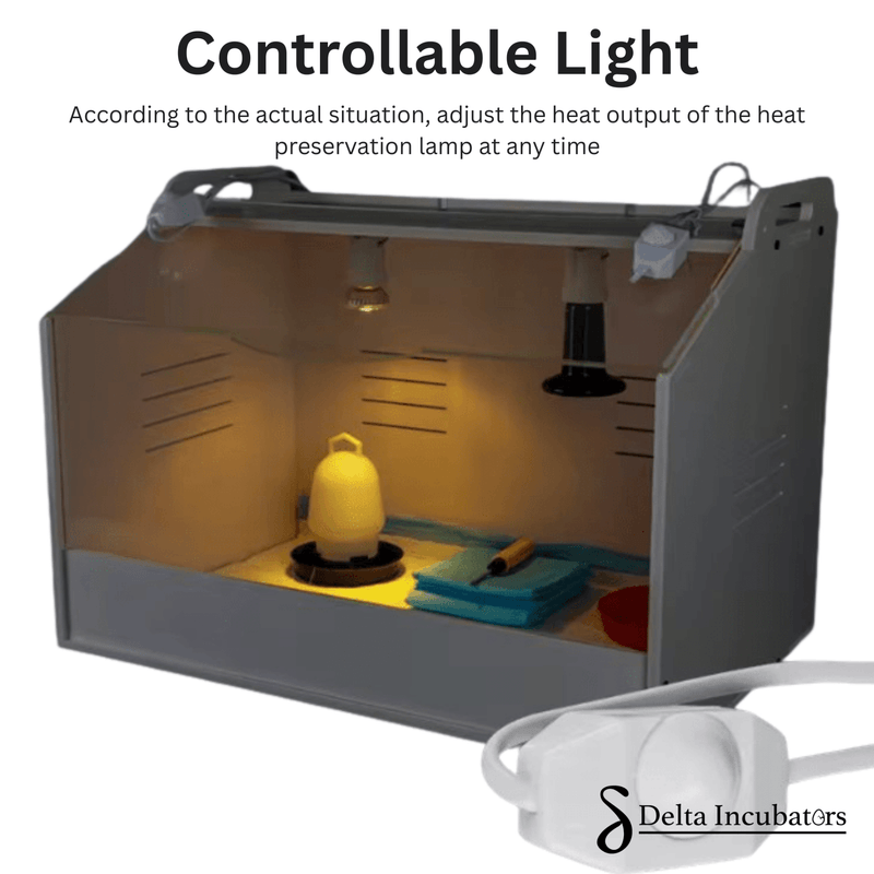 Delta Incubators Brooder – Medium - Delta Incubators