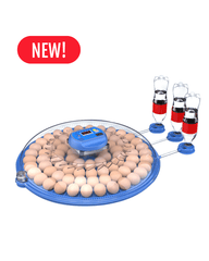 Orbit Range: 80 Egg Automatic Incubator (Dual Voltage) - Delta Incubators