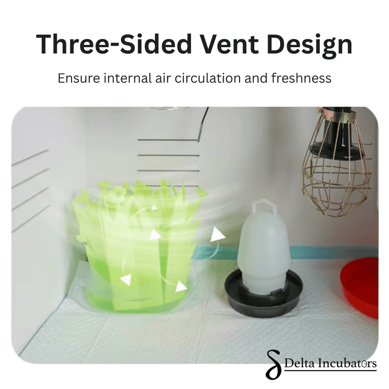 Delta Incubators Brooder – Medium - Delta Incubators