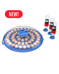 Orbit Range: 52 Egg Automatic Incubator (Dual Voltage) - Delta Incubators