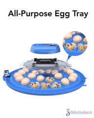 Orbit Range: 80 Egg Automatic Incubator (Dual Voltage) - Delta Incubators