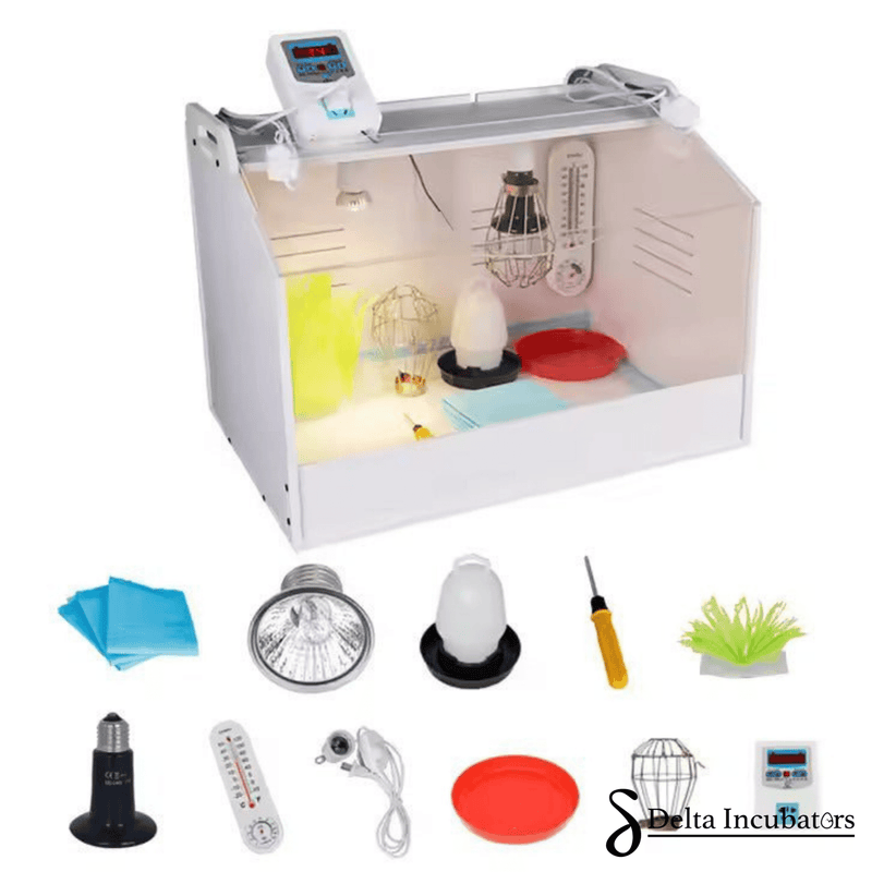 Delta Incubators Brooder – Medium - Delta Incubators