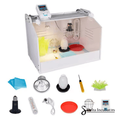 Delta Incubators Brooder – Medium - Delta Incubators
