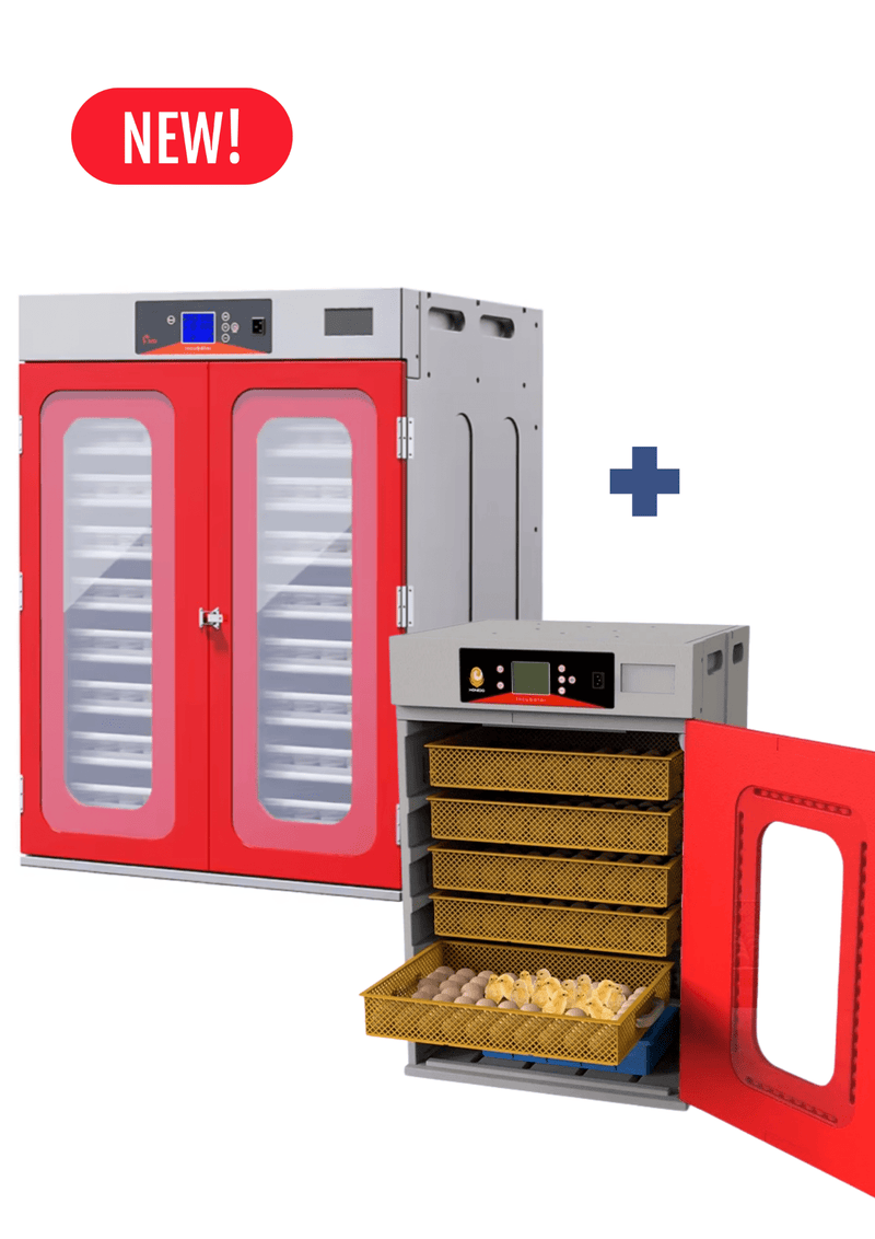 1000 Egg Continuous Incubation Combo Deal - Delta Incubators