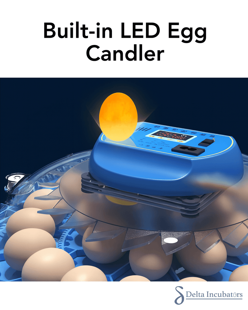 Orbit Range: 80 Egg Automatic Incubator (Dual Voltage) - Delta Incubators