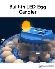Orbit Range: 80 Egg Automatic Incubator (Dual Voltage) - Delta Incubators