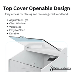 Delta Incubators Brooder – Medium - Delta Incubators