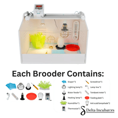 Delta Incubators Brooder – Medium - Delta Incubators