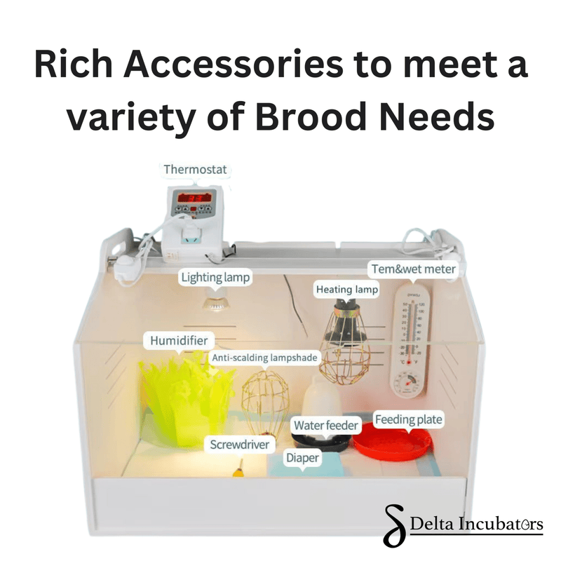 Delta Incubators Brooder – Medium - Delta Incubators