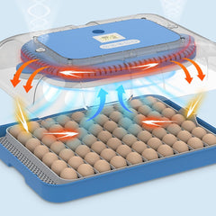 Platinum Range 70 Egg Incubator, Setter and Hatcher