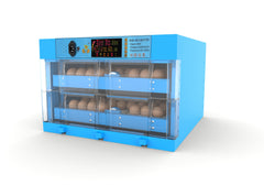 Second hand Refurbished – 120 Egg Automatic Dual Voltage Blue Roller