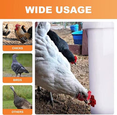 Poultry Drinker Set