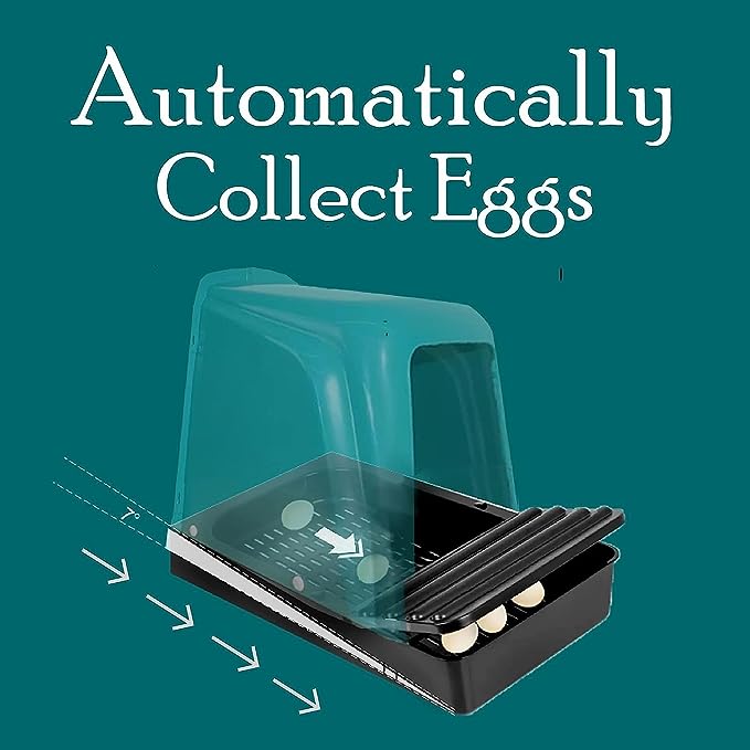 Roll Away Poultry Nest - Set of 4 WQ-RNB