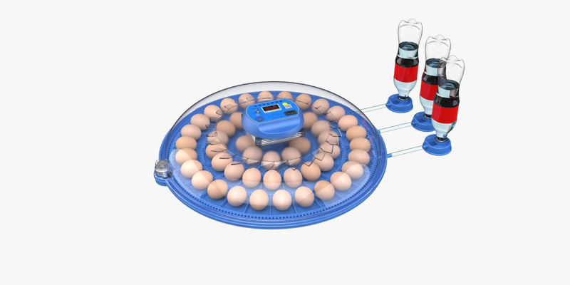 Orbit Range: 52 Egg Automatic Incubator (Dual Voltage) - Delta Incubators