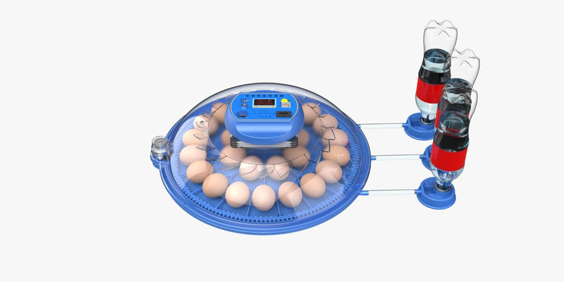 Orbit Range: 26 Egg Automatic Incubator (Dual Voltage) - Delta Incubators
