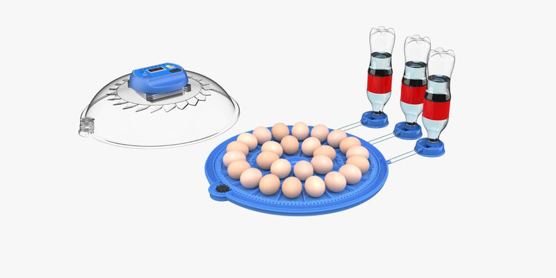 Orbit Range: 26 Egg Automatic Incubator (Dual Voltage) - Delta Incubators