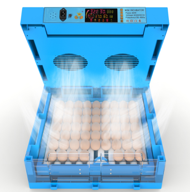 Blue Roller 60 Egg Automatic Blue Roller Incubator - Dual Voltage