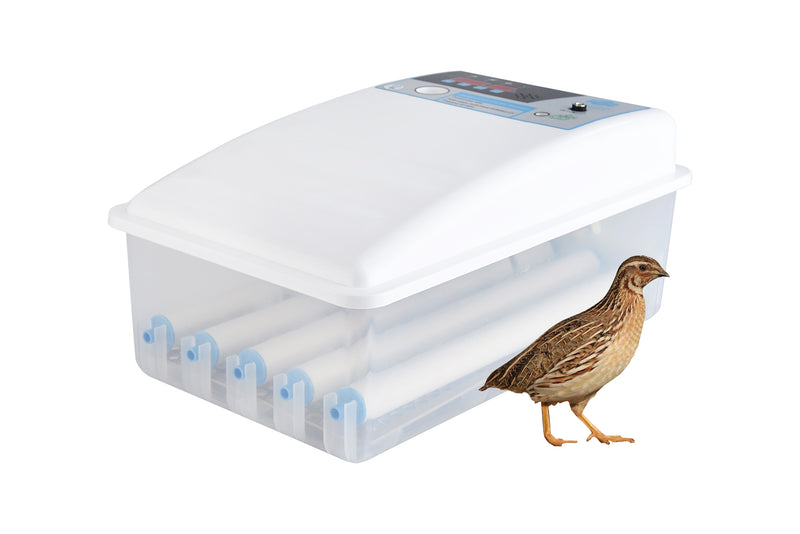 Delta Incubators 80 quail egg automatic incubator