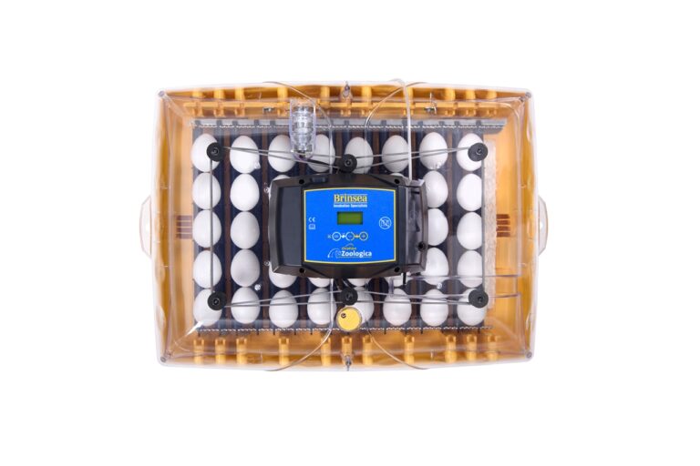 Ovation 56 Zoologica Exotic Egg Incubator 230V EU